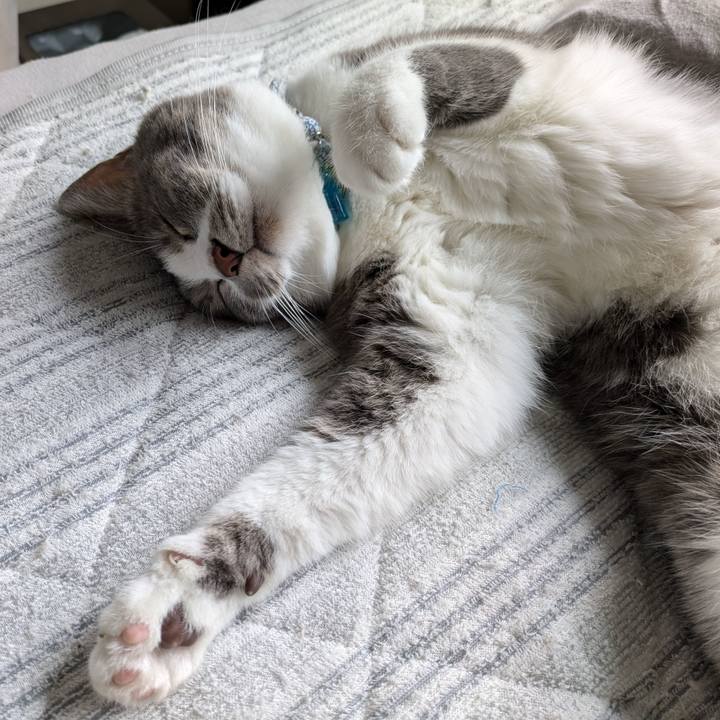 870aa4d0 c844 4980 99a9 0eec4224d0c6 1729126162362