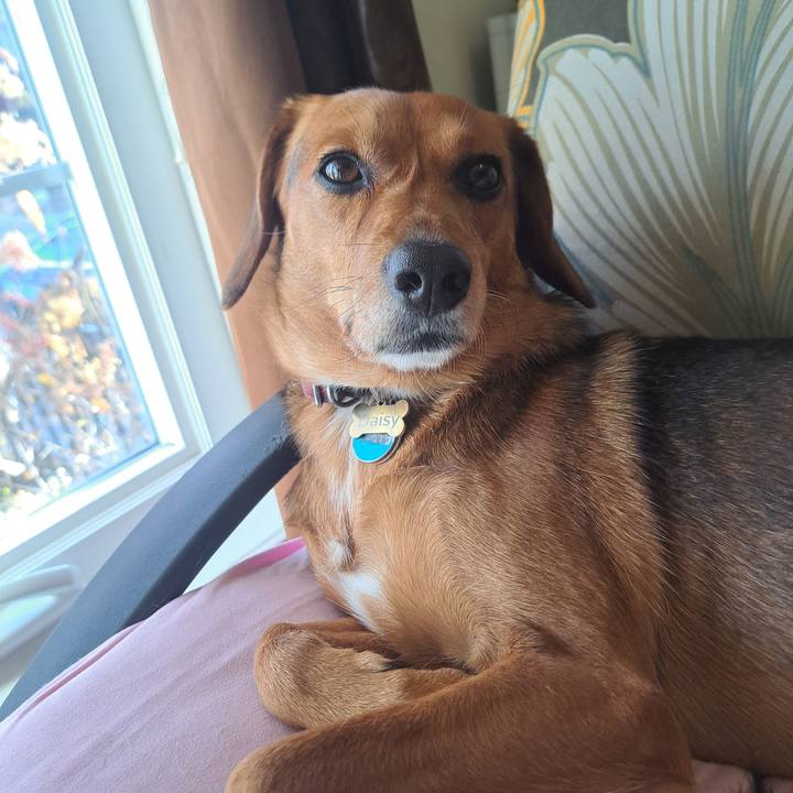 870ad713 a36b 47f3 a519 47a3e571f385 1764599909327