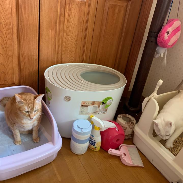 870ae47f 962e 4279 b5f2 3fef8b2fba0e 1588413039125