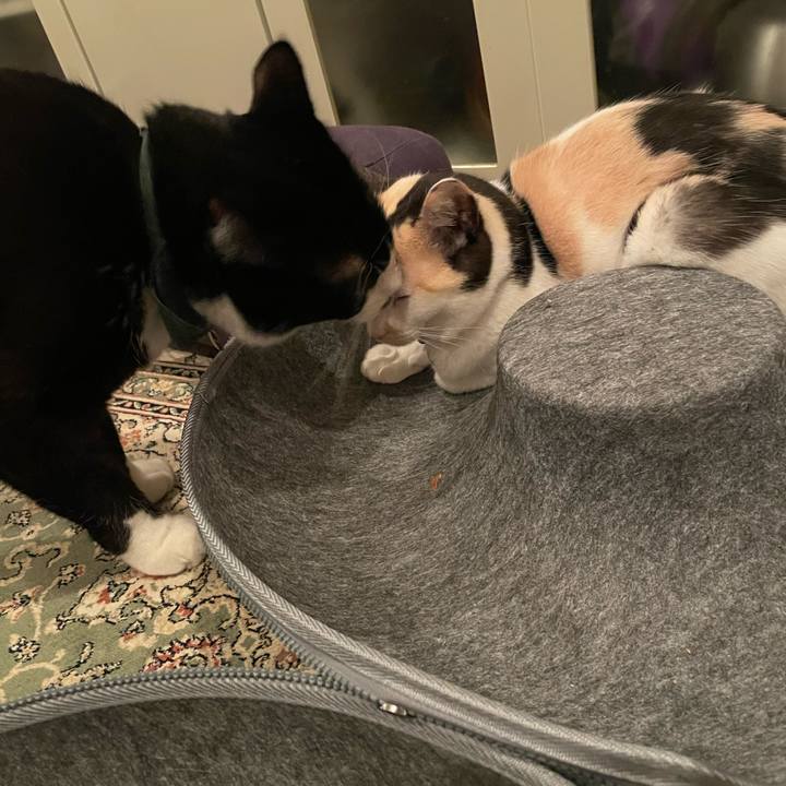 870af8c5 d085 41b3 9af6 3262e628959c 1743255578384