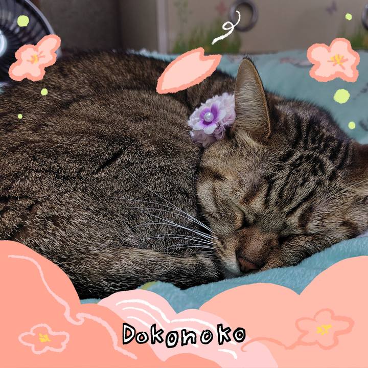 870b03f5 0415 4b9d 901d a17ab436bcf0 1775219409182