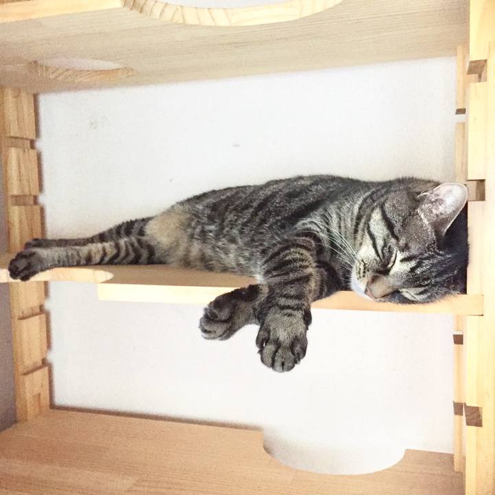 870b2126 602f 4977 8622 94cb191c5e11 1628077705873