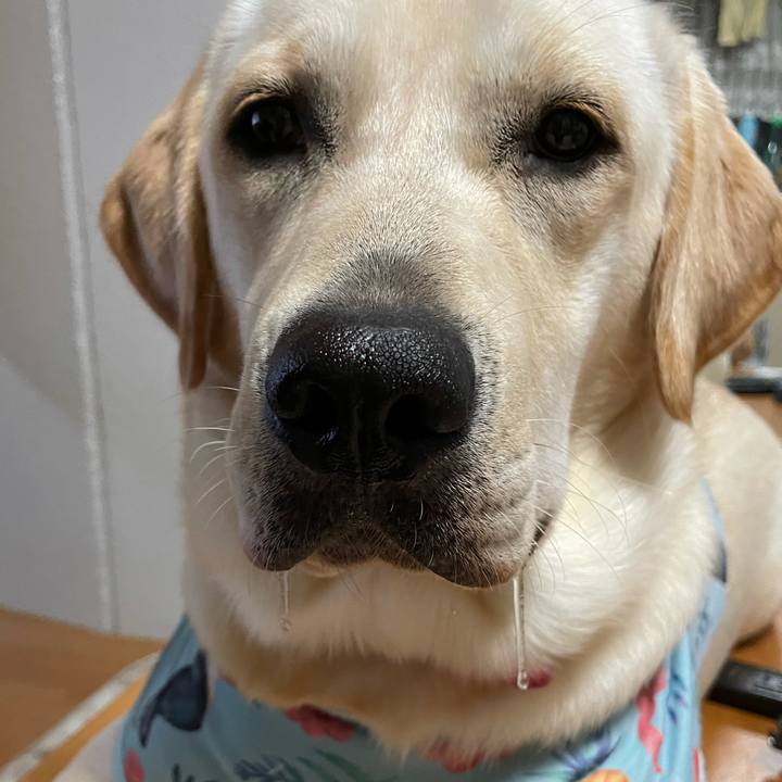 870b7783 1ec5 41a4 ba56 8e8727ce3753 1633351223406