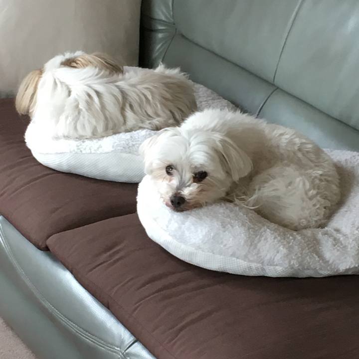 870bb074 42ec 49a8 a4c3 b72e6c803c08 1616673449080