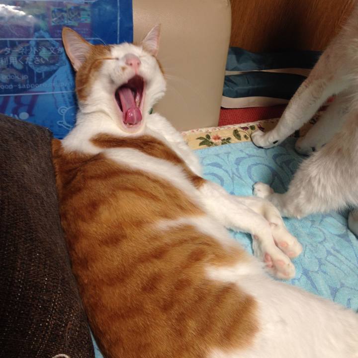 870bd145 9d53 4035 a251 f4dfa4806560 1525181344829