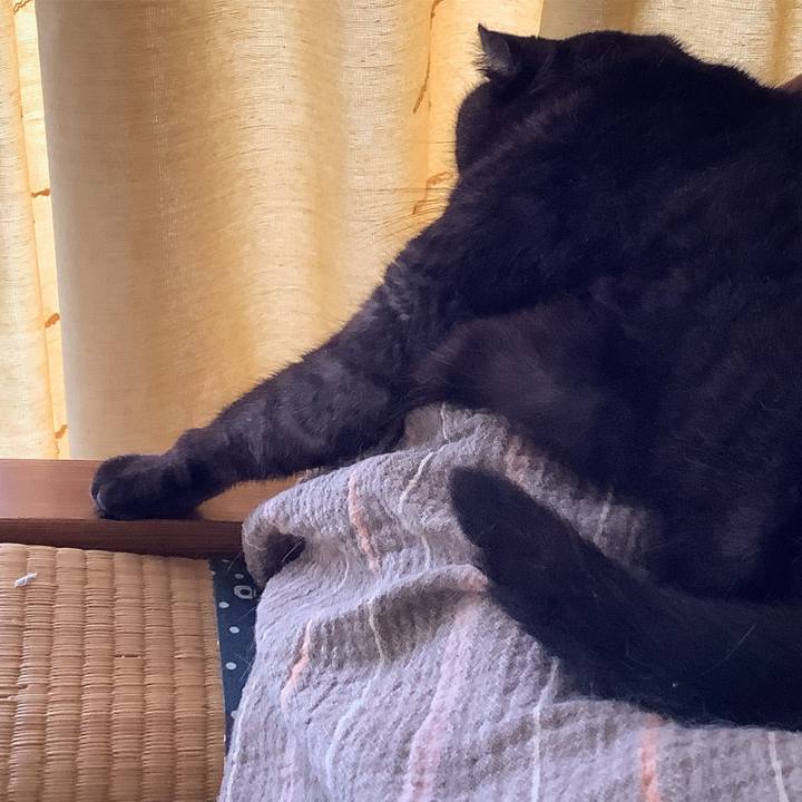 870be02d 042d 481a 8830 a23291707957 1567833785869