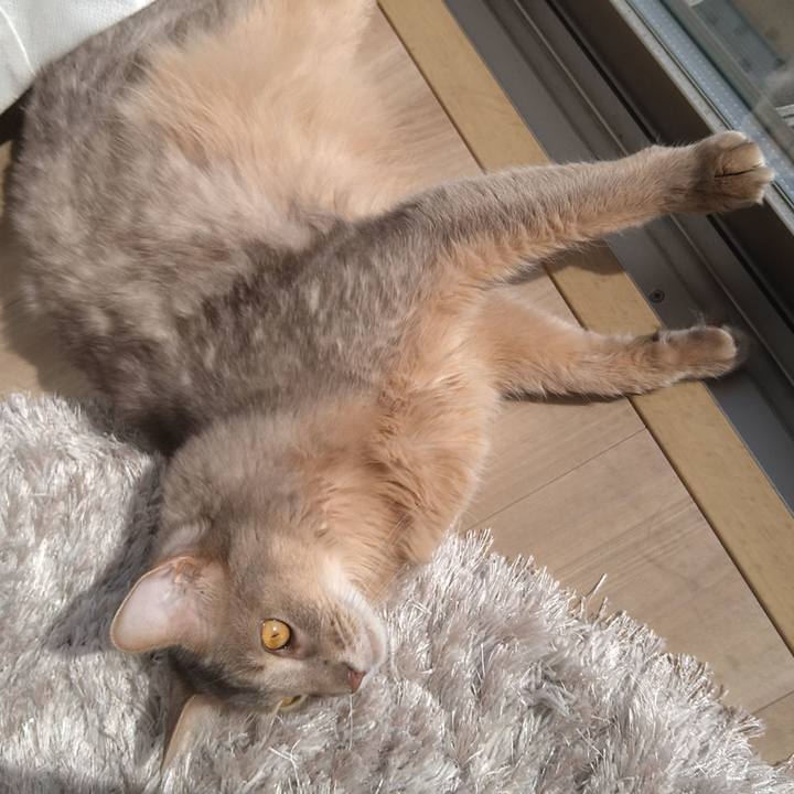 870c18df 381c 48e5 958f a4ff5ace5607 1616830005455