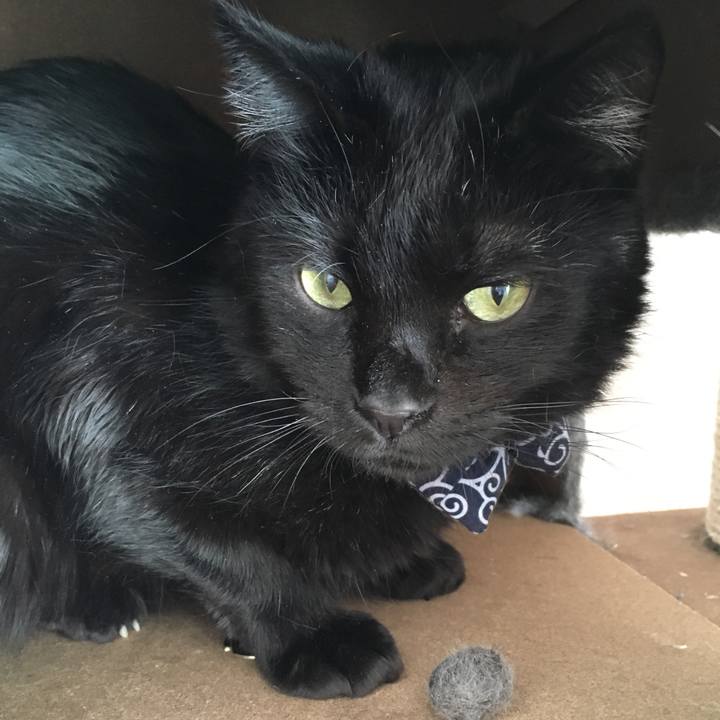 870c3ade 3c04 49c3 a5ac 285174e1d5ab 1549687715123