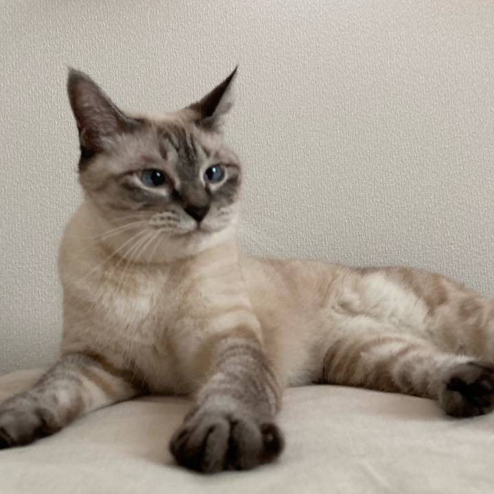 870c556c 8678 4842 9fd2 28a11ac3df03 1693959714105