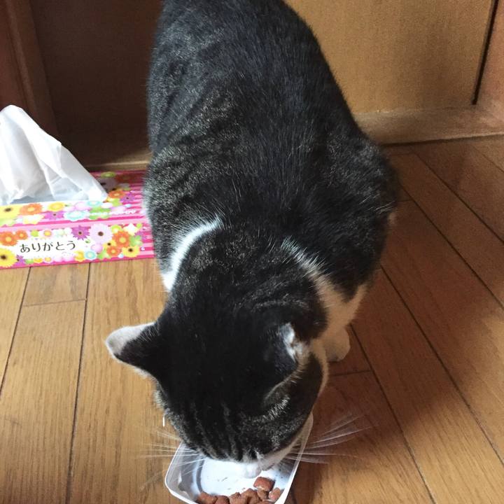 870c5e54 ddc8 4429 b61b a0691bc824fe 1508572596858