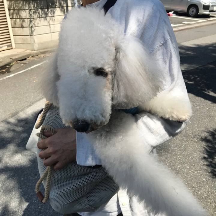 870c99c6 06fa 4a73 be53 1cc7a519d3f5 1681621447629