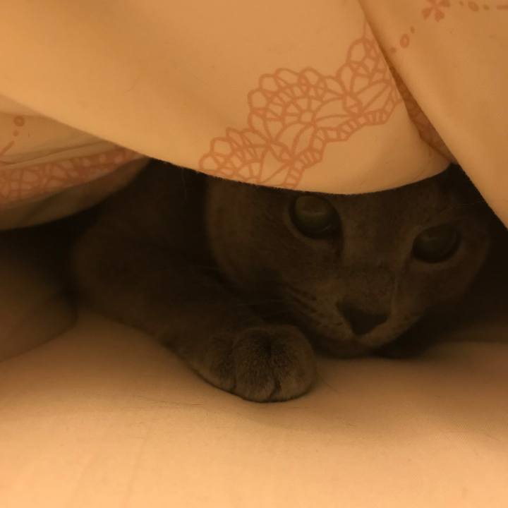 870c9eae 373b 434b b7b9 f8ad7ce68721 1608252352763