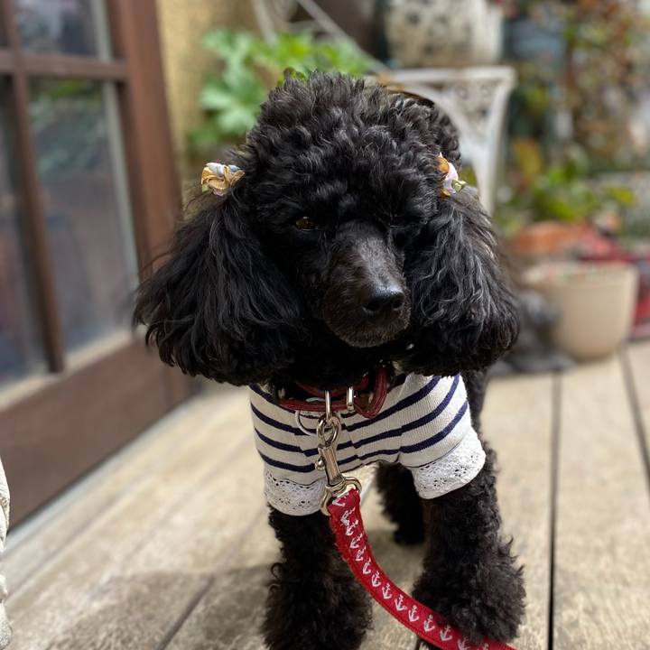 870cc746 182f 41a1 b1c8 aace05dd5cb4 1615518567482