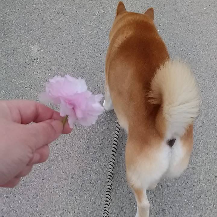 870ce313 ecd1 41fc beda 0cf2e4eb27cc 1650270744455