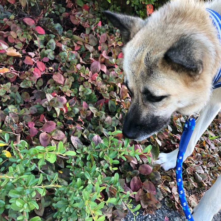 870ced2b ff4b 46b1 bf58 85354a1b29a0 1533901866294