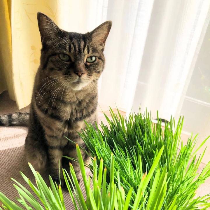 870d0b55 e03a 48c4 b0f0 88f1312a5657 1762814693231