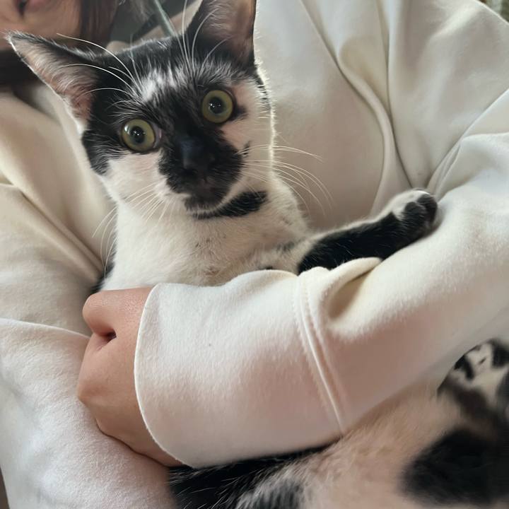 870d2c17 a431 47e0 b77b 0a6b595fe484 1735545024908