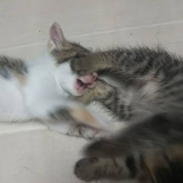 870d4566 8a40 4a3e a523 a374b61121a0 1632478540996