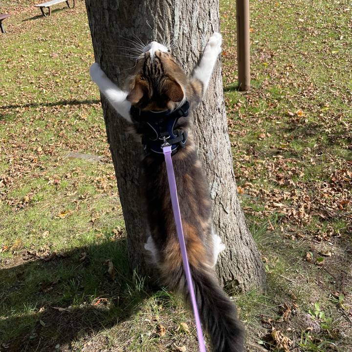 870d5b51 af6d 4d67 8263 0b6d50bf3306 1635058251806