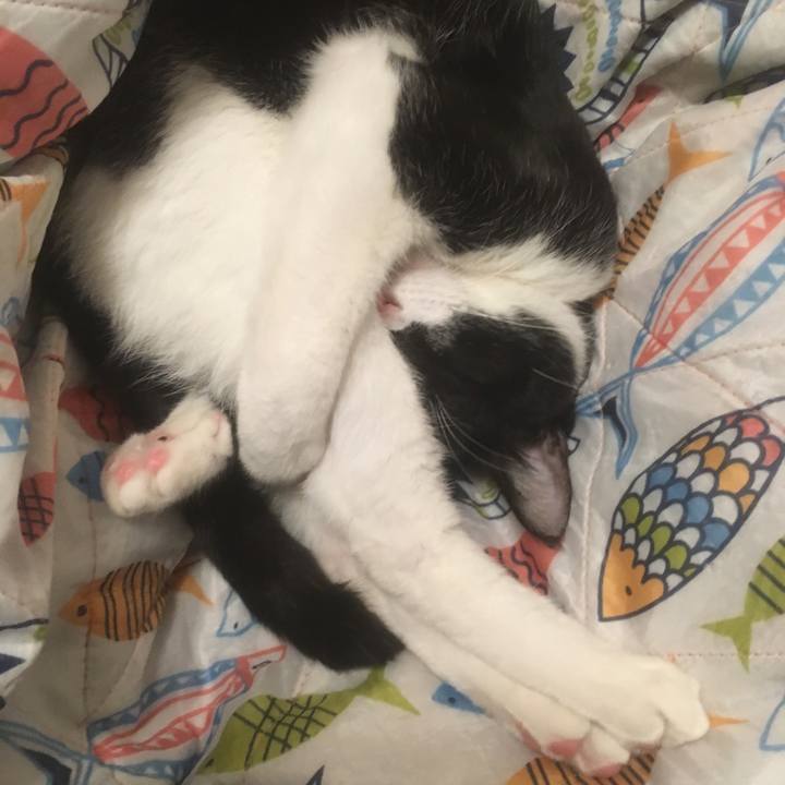 870d5c79 106b 470b ba73 7d5b5761f386 1555897107238