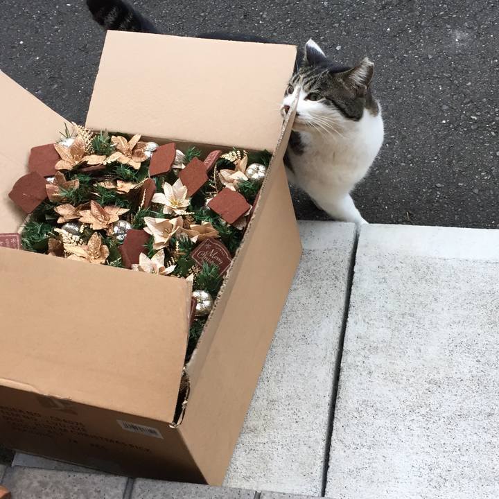 870d9dcc 9913 435f 8409 d1d248ddaa9c 1510216244624