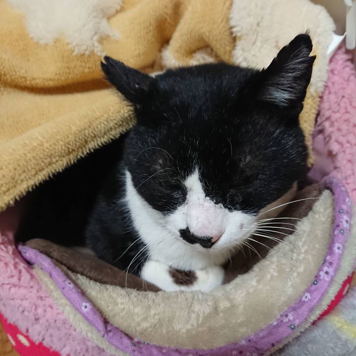 870dc71c 4225 4ad1 a2bc 20823885b661 1580477628541