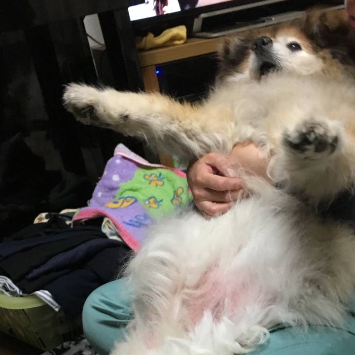 870dd1e6 8c07 4877 bf5c 68403a84511a 1606206606302