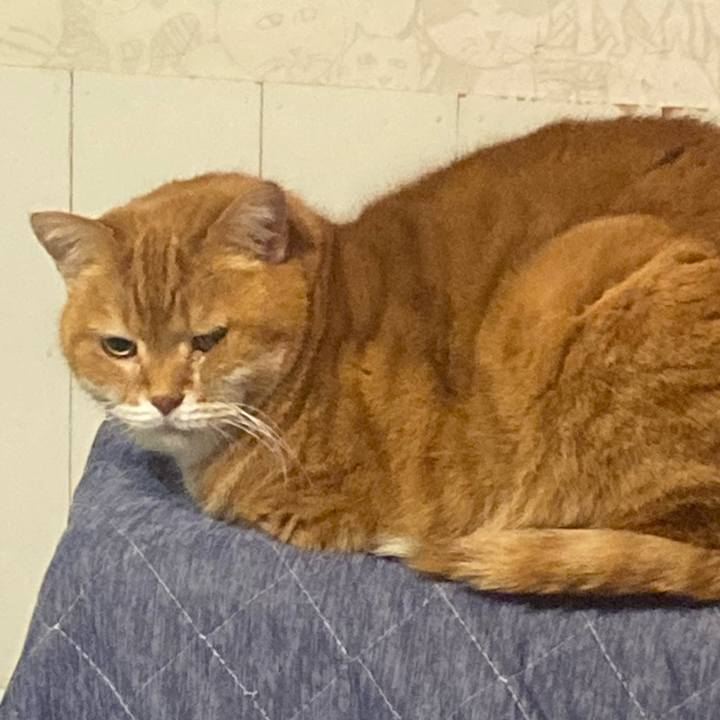 870dea77 50ef 4bb9 9f57 bb838d53897d 1705241842310