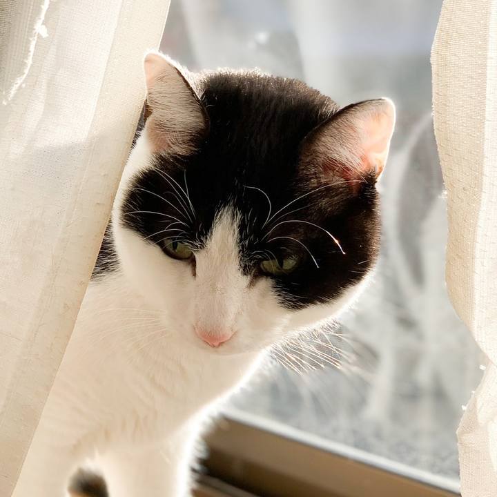 870df96b 2451 4fb7 ad3d 5884d0e0dca3 1578708321406