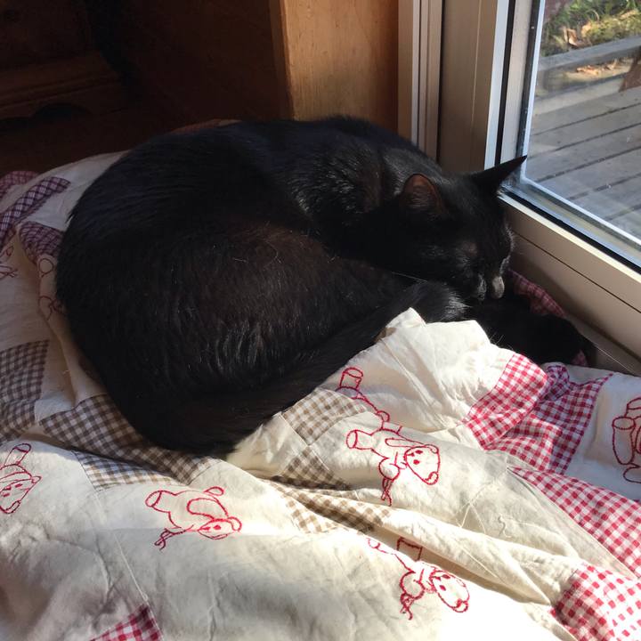 870e3937 1b17 4c6e 987d d926afb70cf3 1602895810152