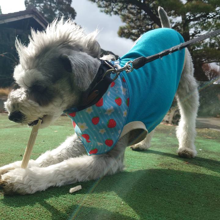 870eb6a7 66ce 476e b6d2 d352375488d6 1772246349111