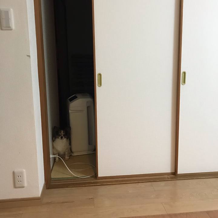 870edc0d 8a16 4e03 b3e4 046199d6e1b4 1562498052421