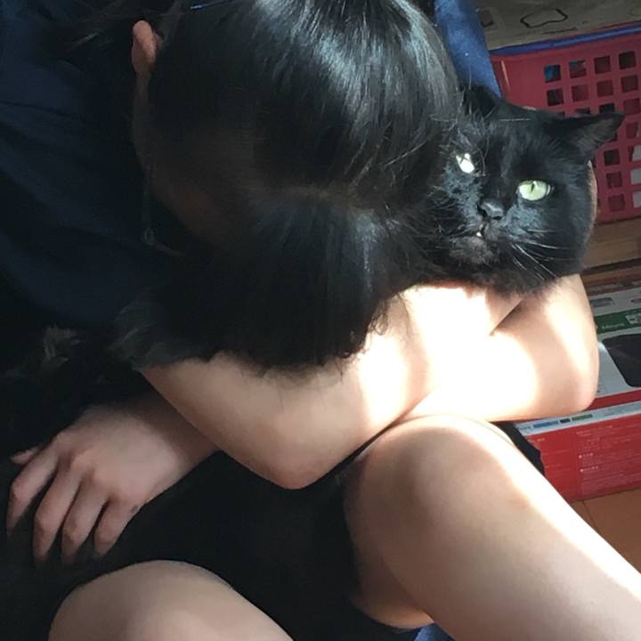 870f2ccb 79e4 4743 acda 75ac9c22fd82 1561535733231