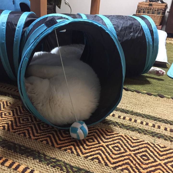 870f62ac 75f5 4729 b960 61de2251eaa1 1513165666238