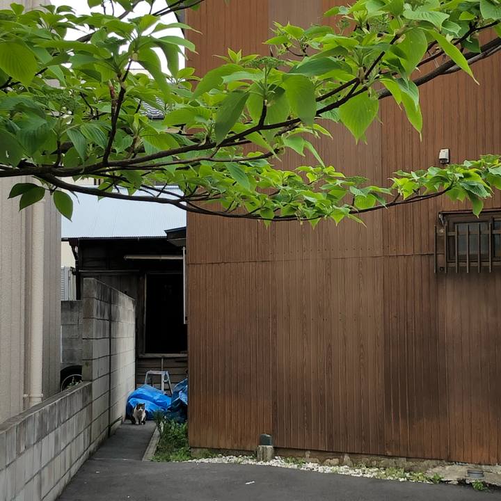 870f7564 19ab 45af a460 408058d0a124 1589717121298