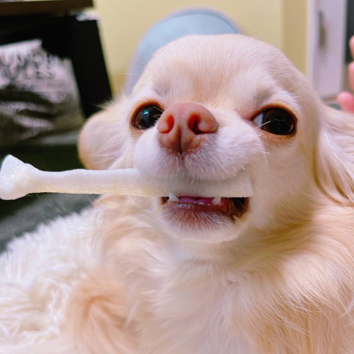 870f831e 07eb 4e65 9872 e2af8c4126ee 1652426169453