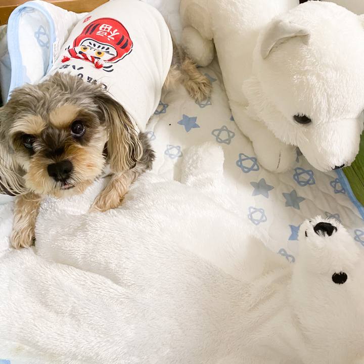 870f99ab 80b3 46c6 b03f e76c2e49e0f8 1666868062909