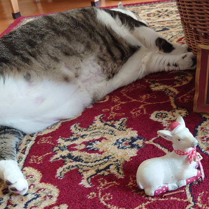 870fb285 fcf1 449d a997 a4dcd45d1cc6 1608770017199