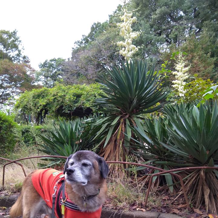 870ff9d0 7d25 4fbd 905f bf8133210488 1572133793479