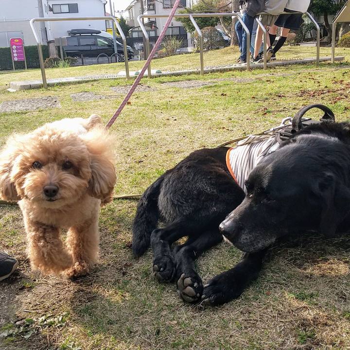 87103675 7f01 4fa5 9e07 9e34786cc0e3 1712048835635