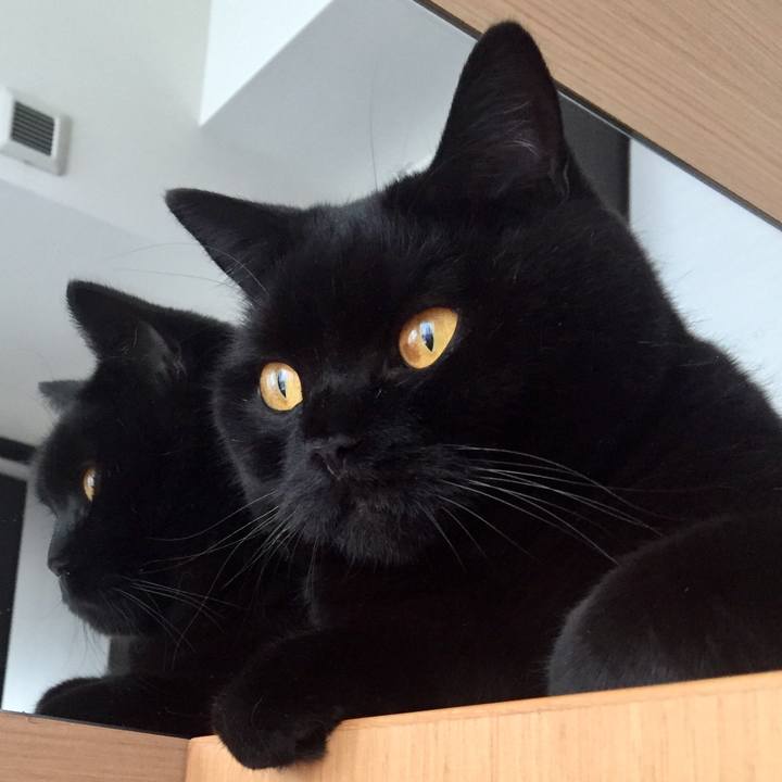 87104877 d555 470b b9fe 2b079071e9b1 1569891365573