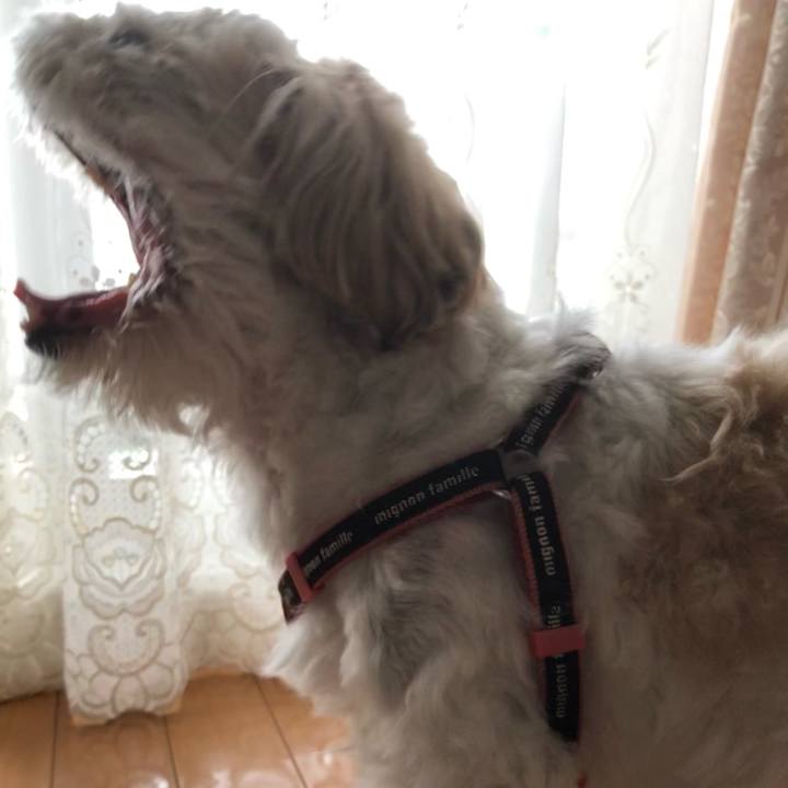 87104f69 8a16 432e 9028 72aff73c77df 1629668774641