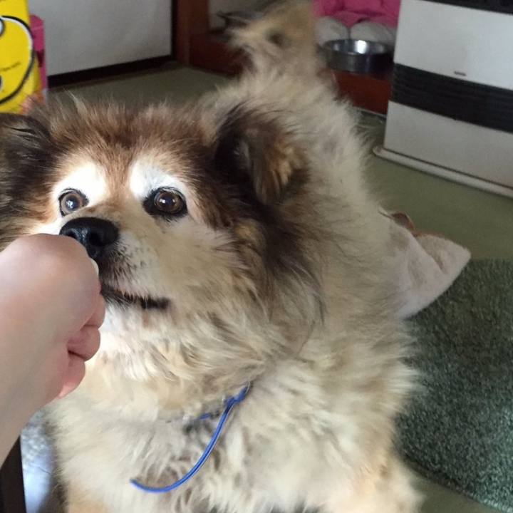 87105818 a15a 4ce3 8708 3781e9df98a2 1577845157146