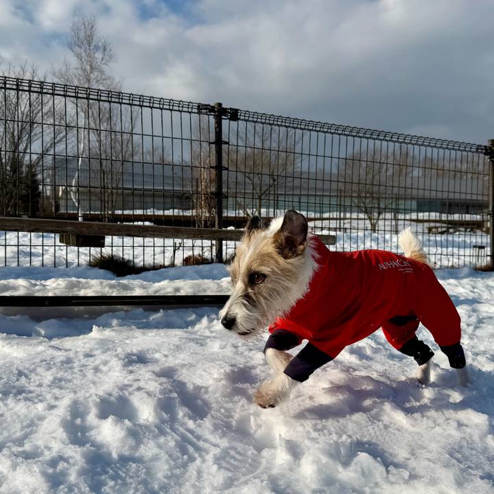 87105dfb b2f8 4ee2 90e1 4d98d3470c31 1768483995602