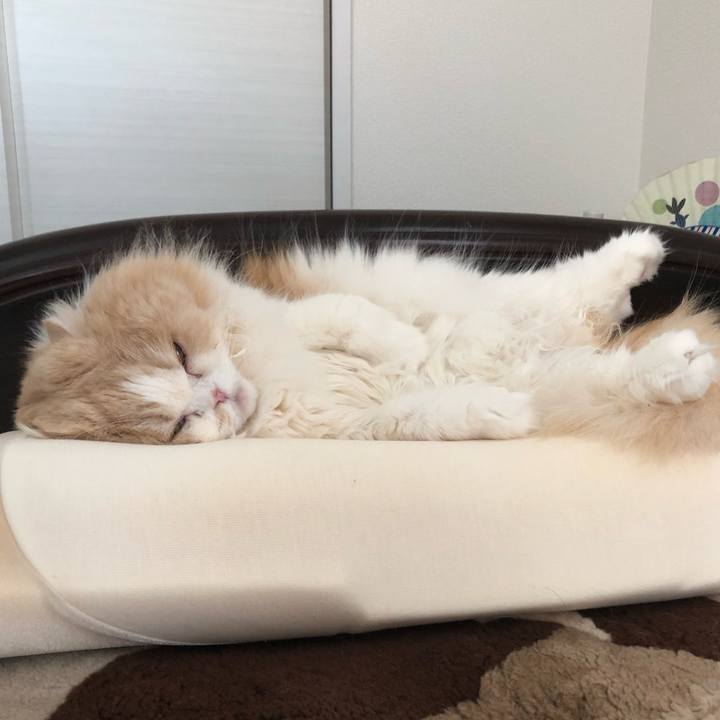 87107571 a0b6 4c49 ac2a 6c6f738c48c7 1649938542588