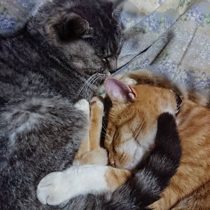 871079f5 11ab 4f14 8923 b020806ab70c 1573134304074