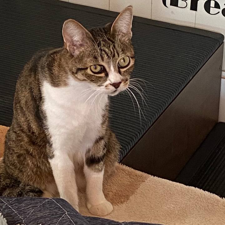 87108ddc a4f8 435b b37b abe42da482d0 1576458261803