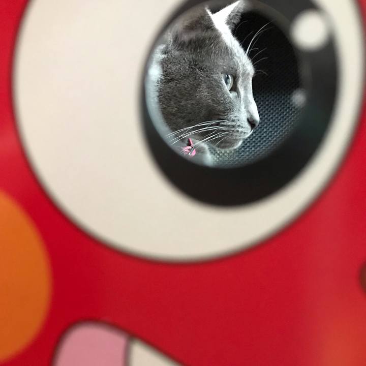 8710d7a2 1e63 49d2 824d 8e564dd87dc9 1549185040052