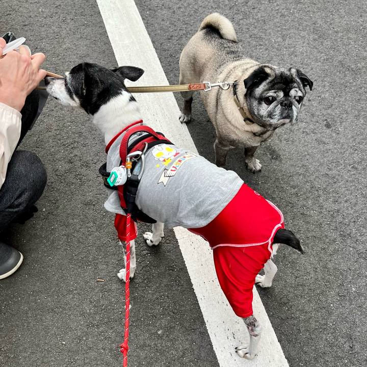 8710e875 61b2 4027 b1e2 7c4d74a3ccf3 1652131620541