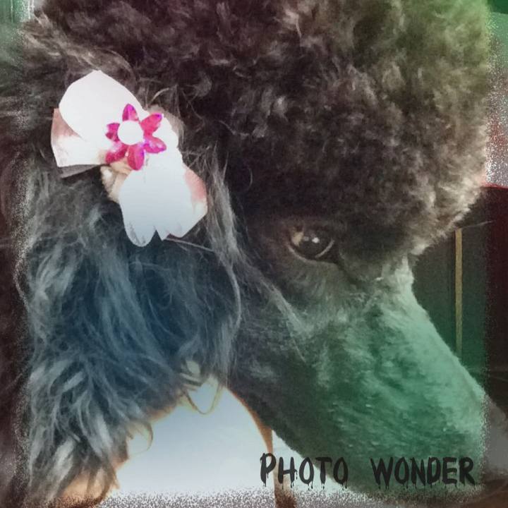 8711078e 6617 417b 90f8 260e46b2ca88 1531962745473